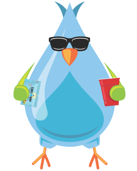 bird image